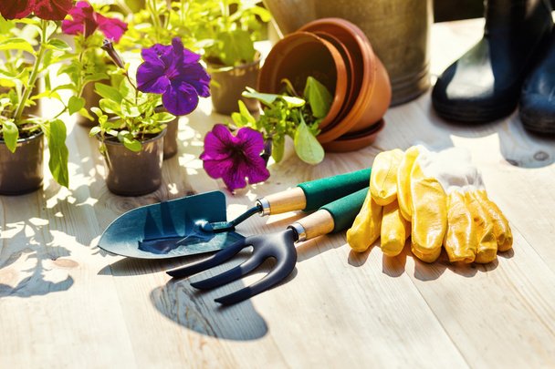 Gardening tools and flowers on the terrace in the garden. Wateri - Photo, Image