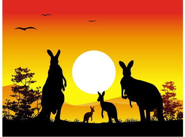 Silhouette della famiglia dei canguri
 - Vettoriali, immagini