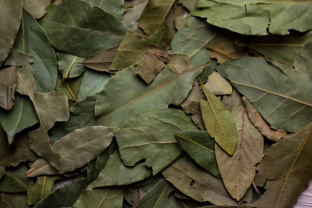macro bay leaves for kitchen - Fotó, kép