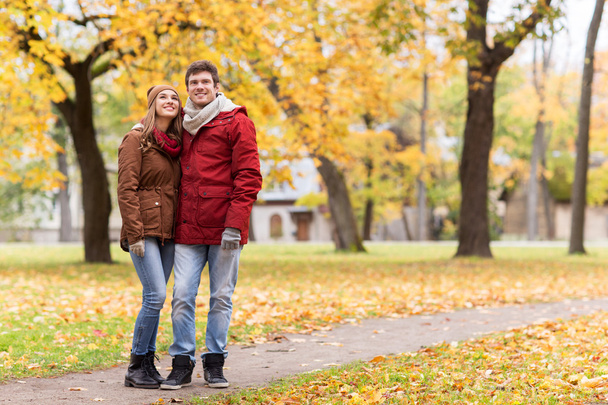 happy young couple walking in autumn park - 写真・画像