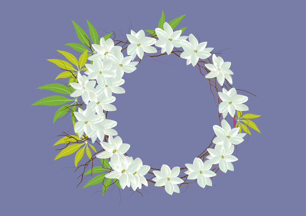 Crown jasmine flowers with leaves  top view  and side view .vector illustration - Vector, Image