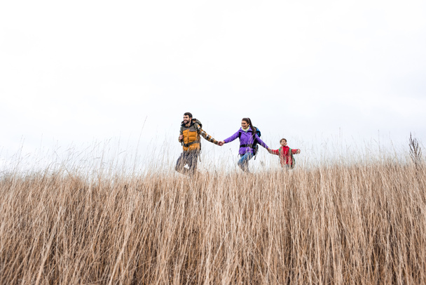 Familia feliz con mochilas caminando en la hierba
 - Foto, Imagen
