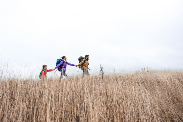 Happy family with backpacks walking in grass - Fotografie, Obrázek