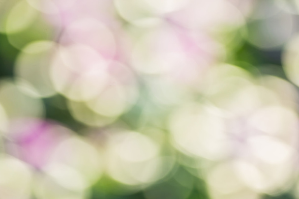 Abstract bokeh and blurred colorful nature background  - Fotó, kép