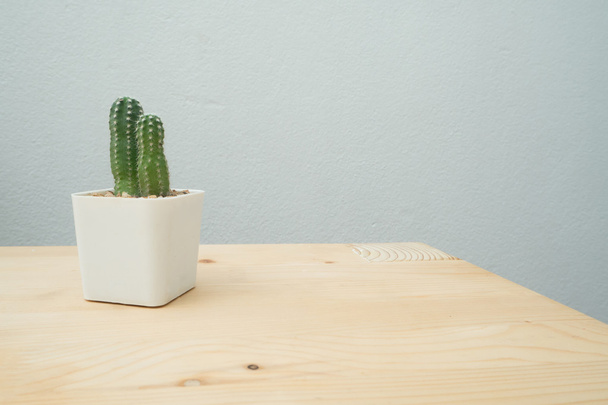 Fa asztal a Virágtartó kaktusz virág. - Fotó, kép