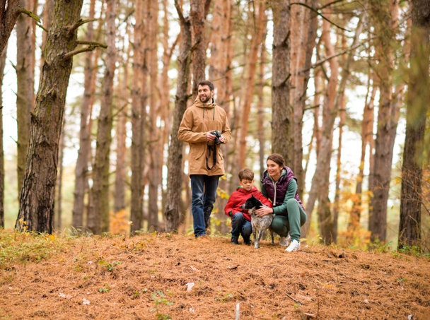 Woman and boy playing with dog in forest - 写真・画像