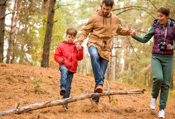 Family walking in autumn forest - Zdjęcie, obraz