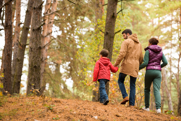 秋の森を歩く家族 - 写真・画像
