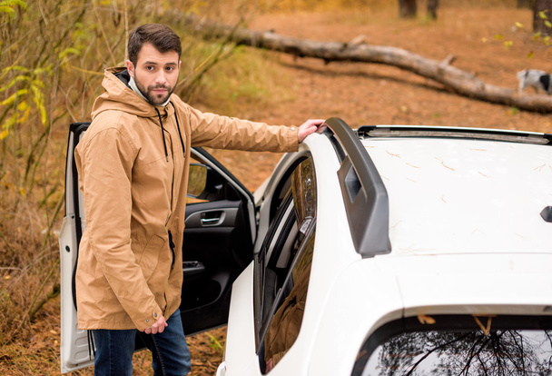 Человек, стоящий возле машины и упавшего дерева
 - Фото, изображение