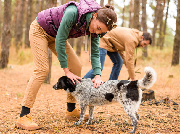 Smiling woman stroking dog in forest - Photo, Image
