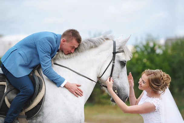 Свадебная пара с белой лошадью
. - Фото, изображение