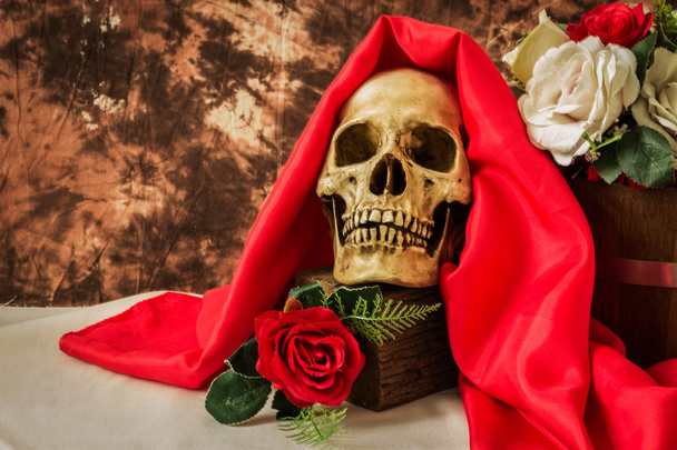 Asetelma ihmisen kallo punainen ruusu ja valkoinen ruusu
  - Valokuva, kuva
