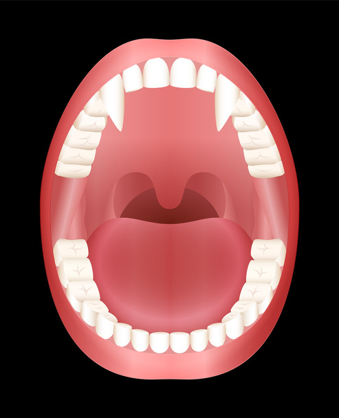 Dents vampires bouche ouverte
 - Vecteur, image