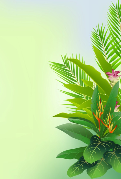 Hermosa flor tropical y bosque de fondo
 - Vector, Imagen