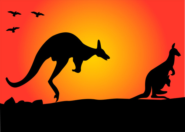 Kanguru atlamalı - Vektör, Görsel