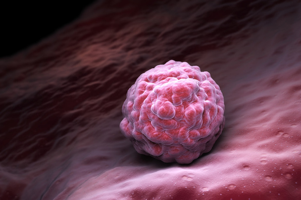 embrionalne komórki macierzyste - Zdjęcie, obraz