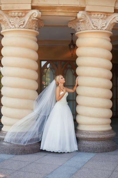 Bride with long veil - Фото, изображение