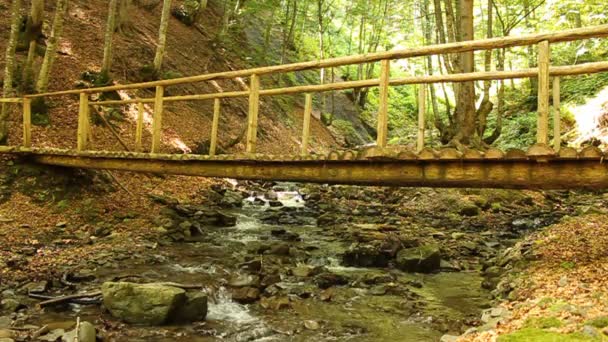 ξύλινη πεζογέφυρα - Πλάνα, βίντεο