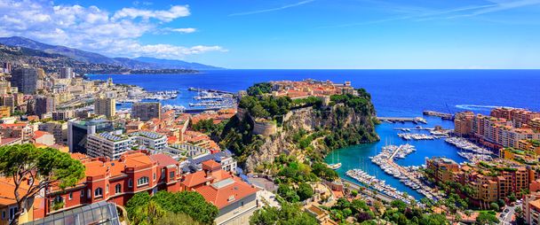 Skyline of Monaco with Prince Palace, old town and port - 写真・画像