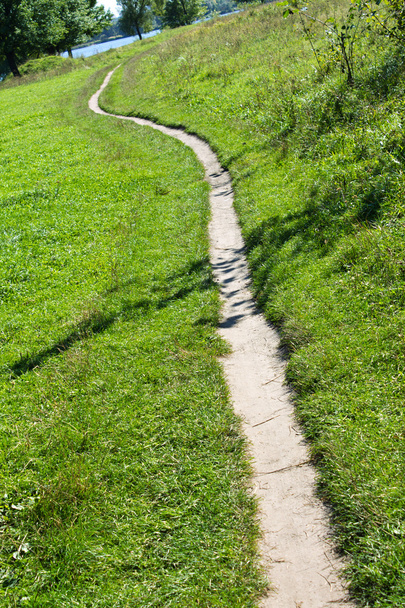 Single path on to the meadow - Foto, afbeelding