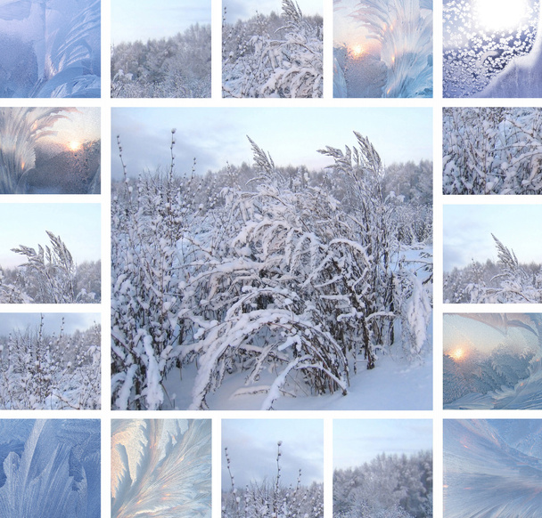 Winter collage - Foto, afbeelding