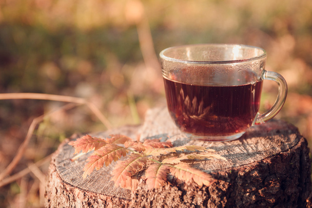 Cup of tea with autumn leaves - 写真・画像