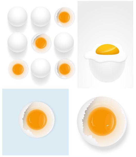 Huevos Vector Ilustraciones
 - Vector, imagen