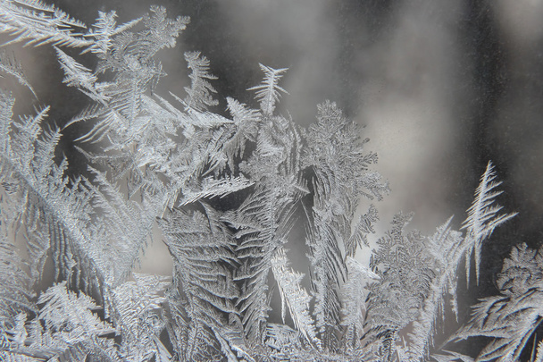 variedade de padrões de geada em uma janela de inverno
 - Foto, Imagem