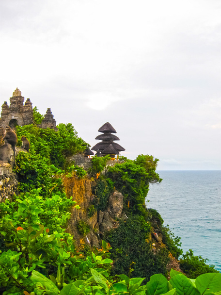 Az óceán, a hullámok, a majom a Uluvatu, Bali - Fotó, kép