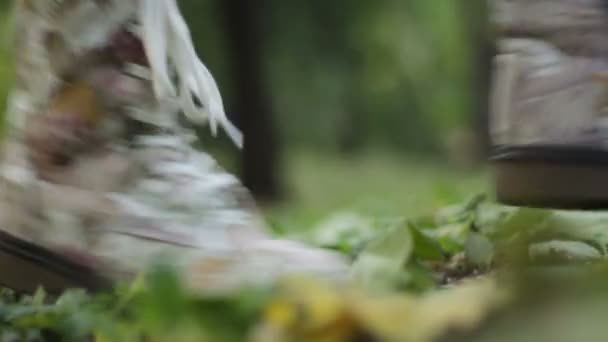 Tanz auf den Blättern - Filmmaterial, Video