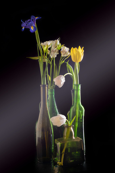 Kwiaty w butelki, butelki długie krótkie żółty niebieski  - Zdjęcie, obraz
