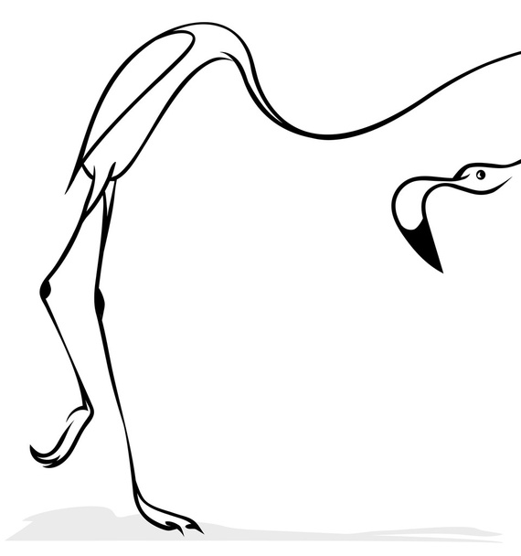 Flamingo mit langem Hals - Vektor, Bild