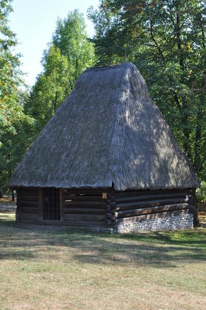 フォレスト内の円形木および屋根ふき材料小屋 - 写真・画像
