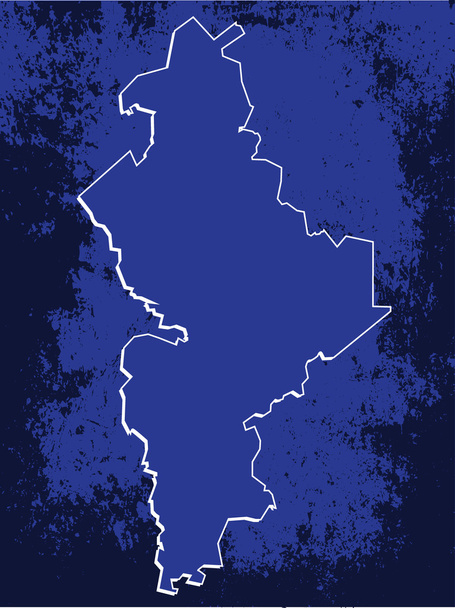 3D Nuevo Leon, Mexico State Map Blueprint Grunge Vector - Vektor, kép