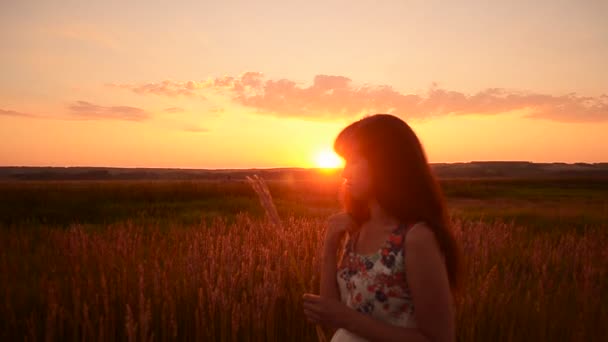 Mädchen hält Weizen an einem Sonnenuntergang - Filmmaterial, Video