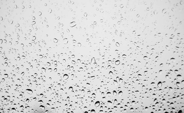 kapky vody po dešti - Fotografie, Obrázek