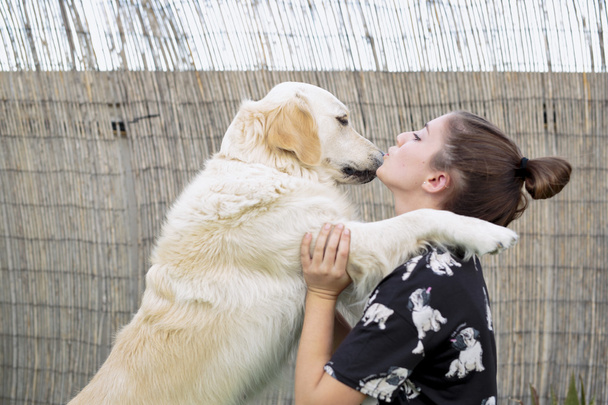 raça cão Golden Retriever dando um abraço ao seu proprietário
.  - Foto, Imagem