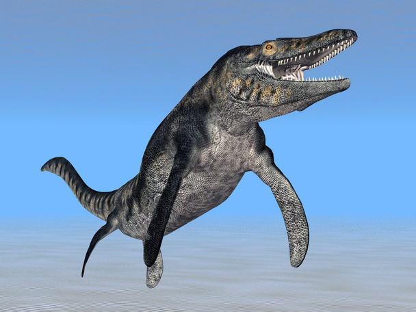 Tilosaurio
 - Foto, imagen