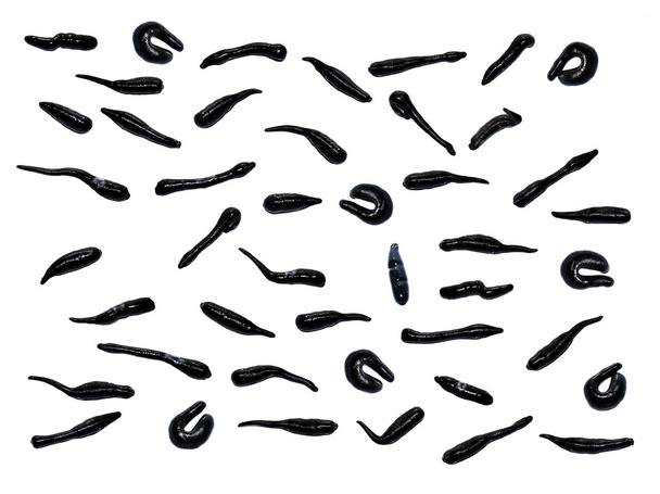 Wiele błyszczący czarny pijawki, izolowana na białym tle - Zdjęcie, obraz