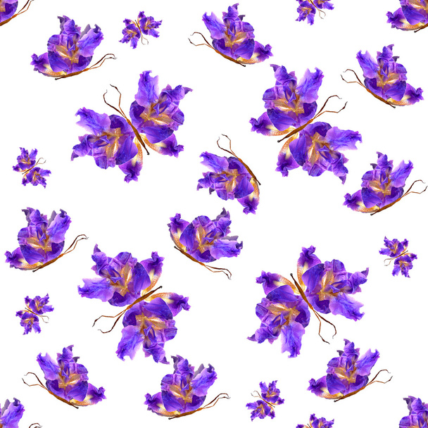 fondo hecho de mariposas de varias flores
 - Foto, Imagen
