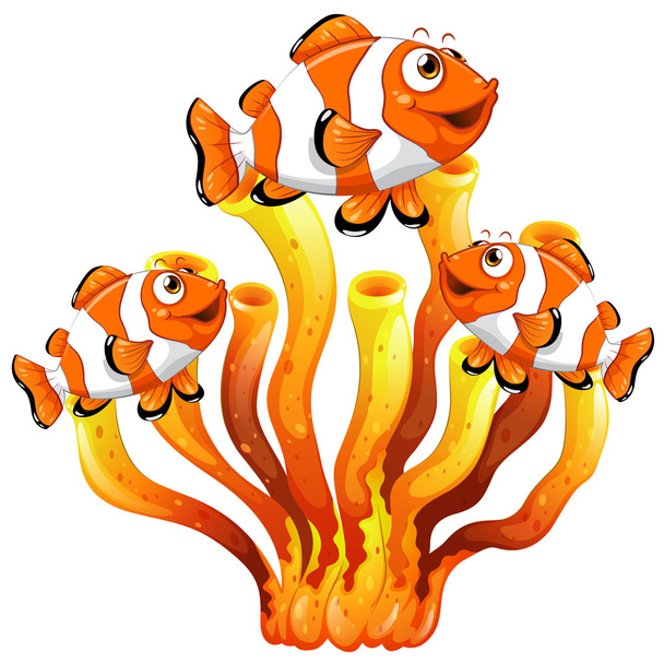 Bohóc hal úszkál korallzátony - Vektor, kép