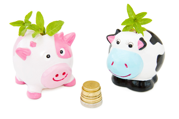 Saving money with Piggy banks - Photo, Image
