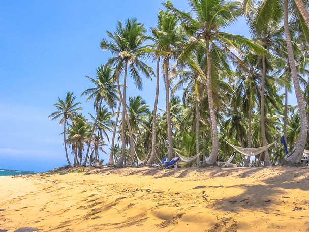 Rincon Playa w Półwysep Samana - Zdjęcie, obraz