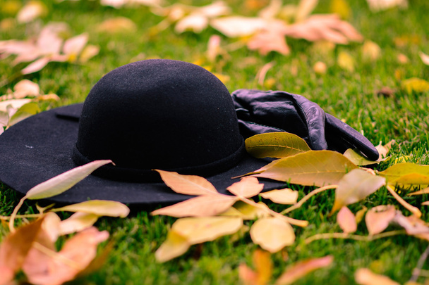Guantes y sombrero en las hojas del parque
 - Foto, Imagen