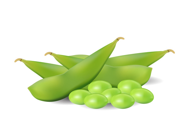 groene sojabonen op witte achtergrond - Vector, afbeelding