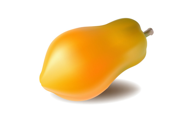 ripe papaya isolated on a white background - Vector, Imagen