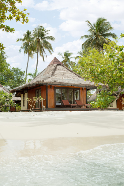  bungalow en playa tropical de arena vacía con palmeras
 - Foto, imagen