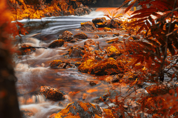 Newell Creek in Tasmania - Foto, immagini