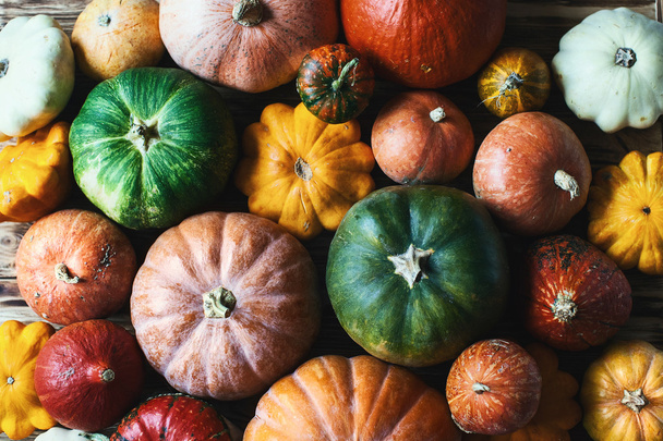 colorful pumpkins background - Foto, Imagem