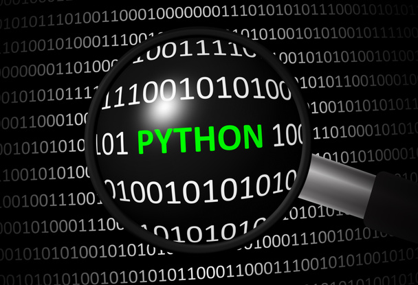Binaire code met Python en vergrootglas - Foto, afbeelding